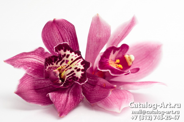 Натяжные потолки с фотопечатью - Розовые орхидеи 97
